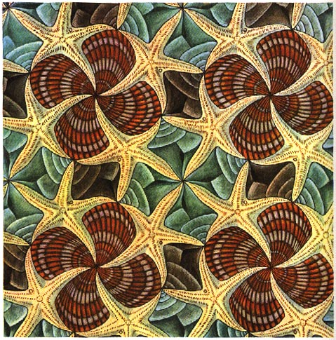 Escher's Shells